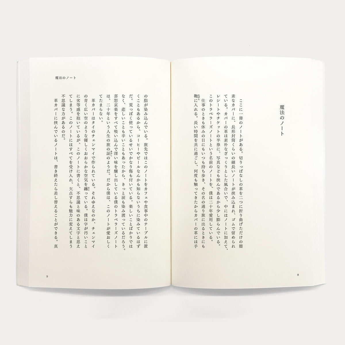 Traveler’s Notebook 20th Anniversary Book Days of Travel and Notebooks (07152501)