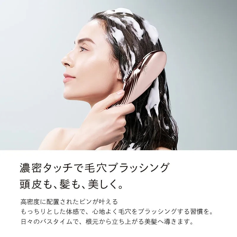 ReFa ION CARE BRUSH PREMIUM