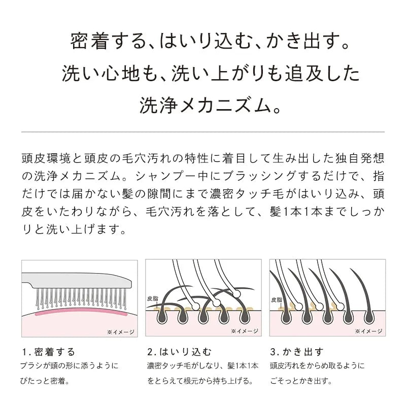 ReFa ION CARE BRUSH PREMIUM