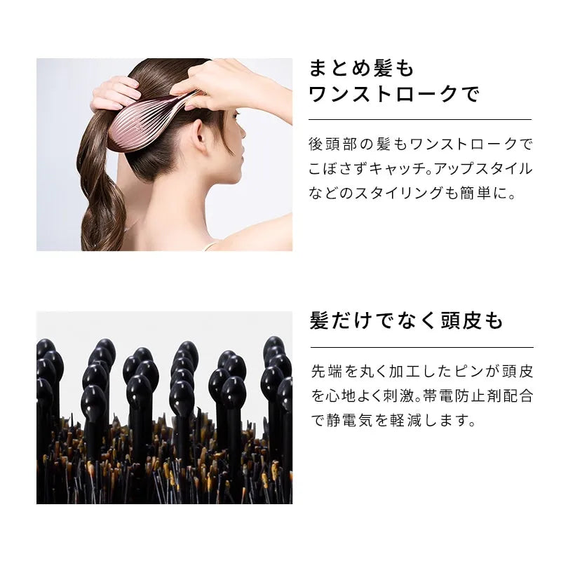 ReFa Aile Brush Ray