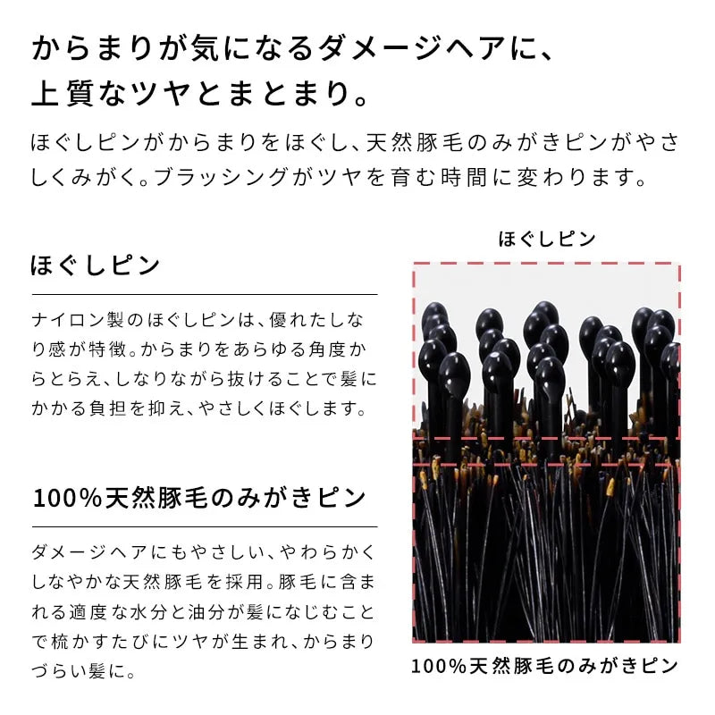 ReFa Aile Brush Ray