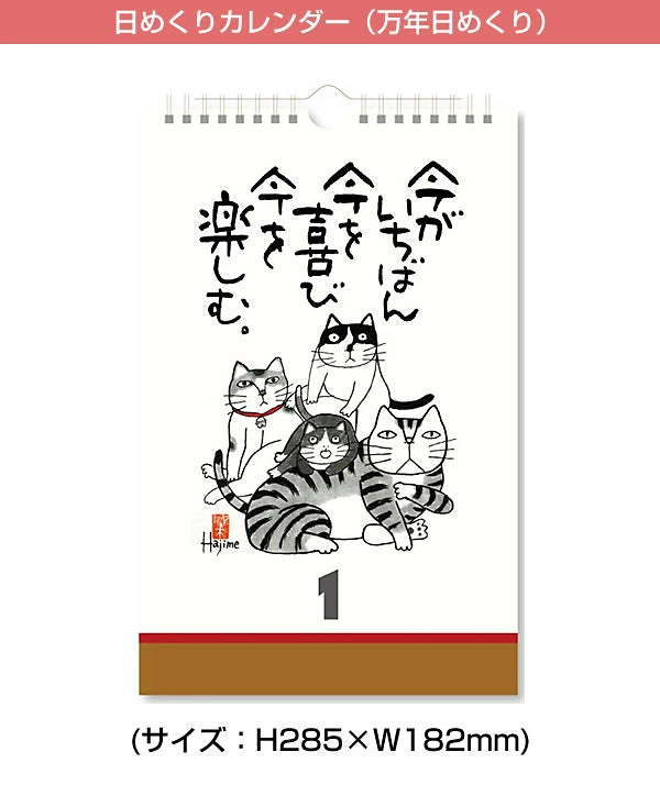 Hajime Okamoto Kabamaru Perpetual Daily Cat Quote Calendar