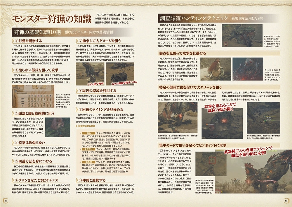 Monster Hunter Wilds Official First Play Guide Book