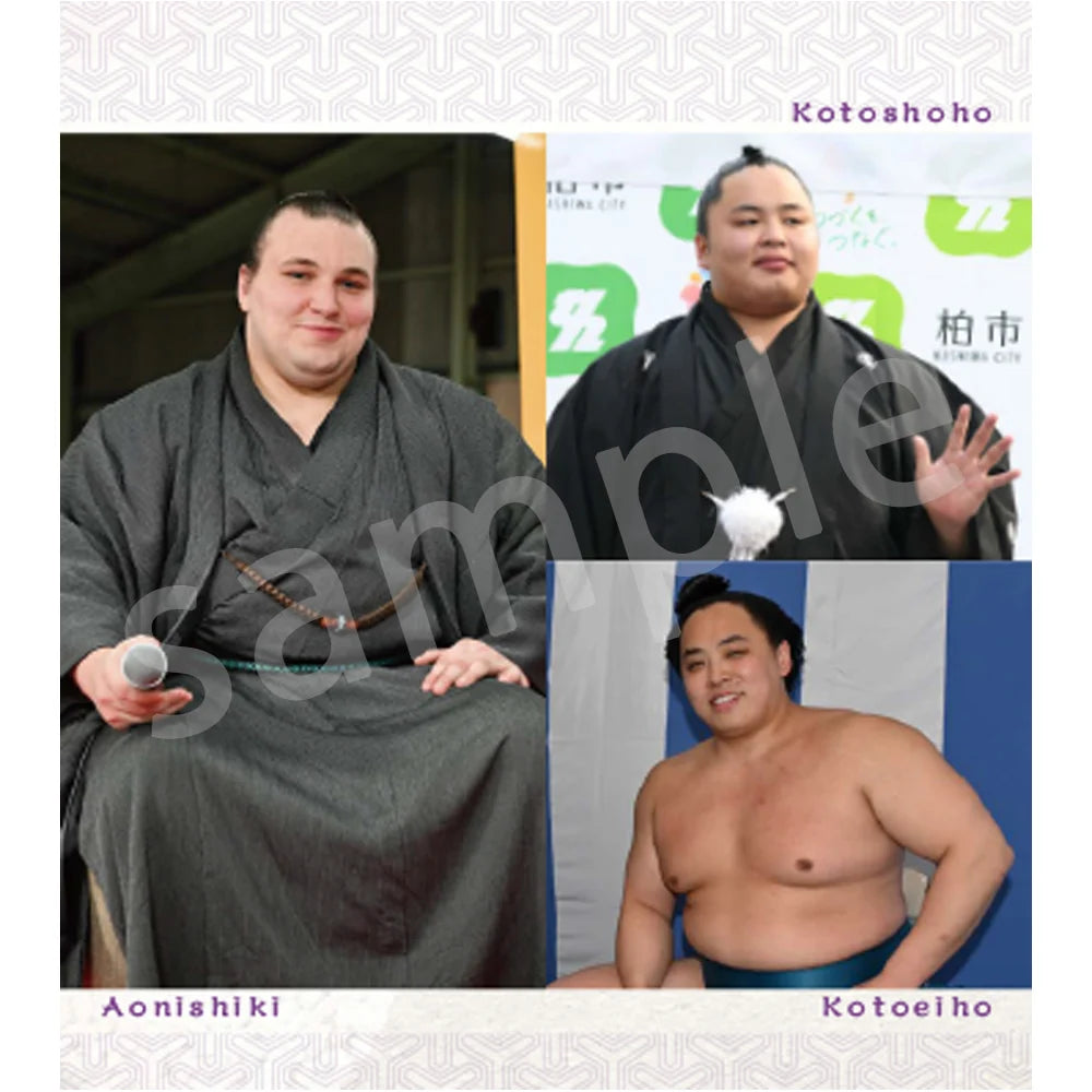 Sumo Biyori 2027 Sumo Wrestlers Desk Calendar