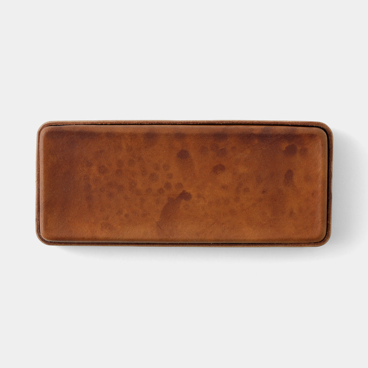 Traveler’s Company TF BVS Molded Leather Pen Case