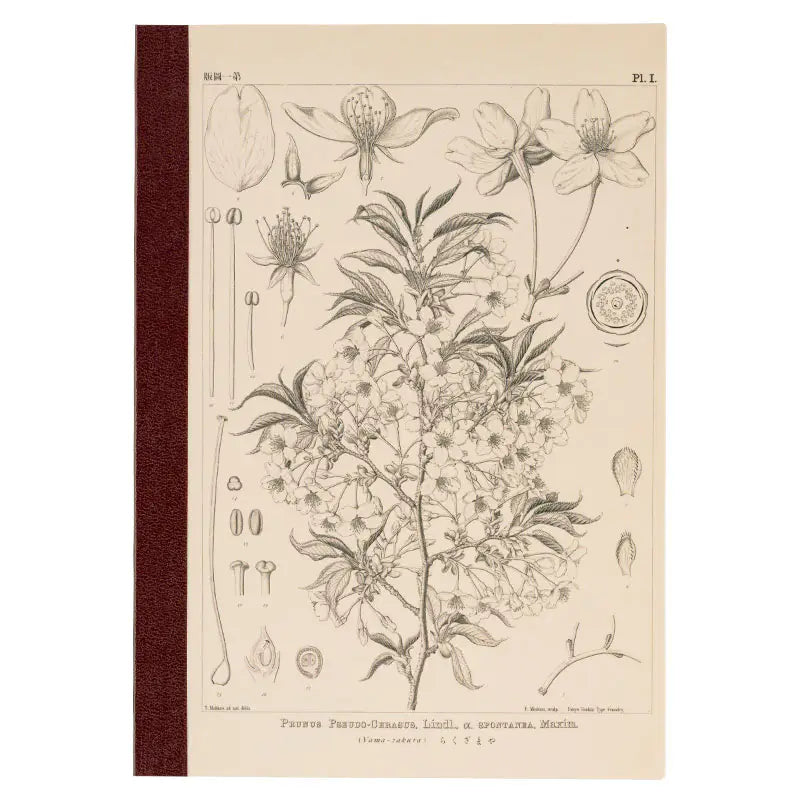 Hobonichi Tomitaro Makino Yamazakura Graph Notebook