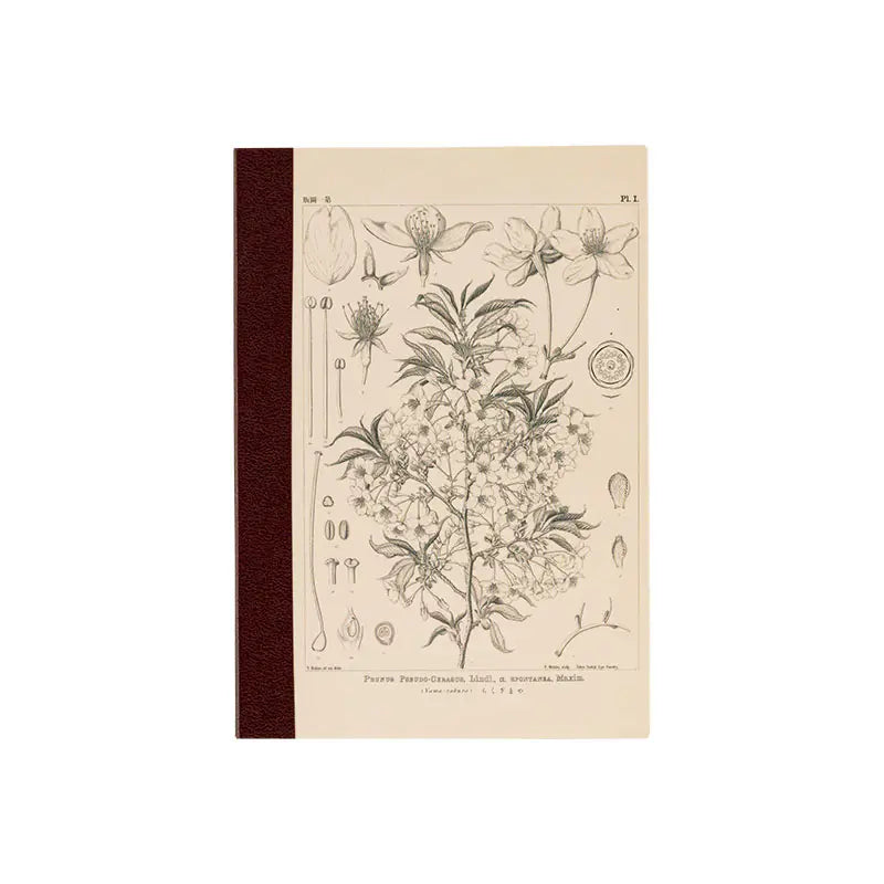 Hobonichi Tomitaro Makino Yamazakura Graph Notebook