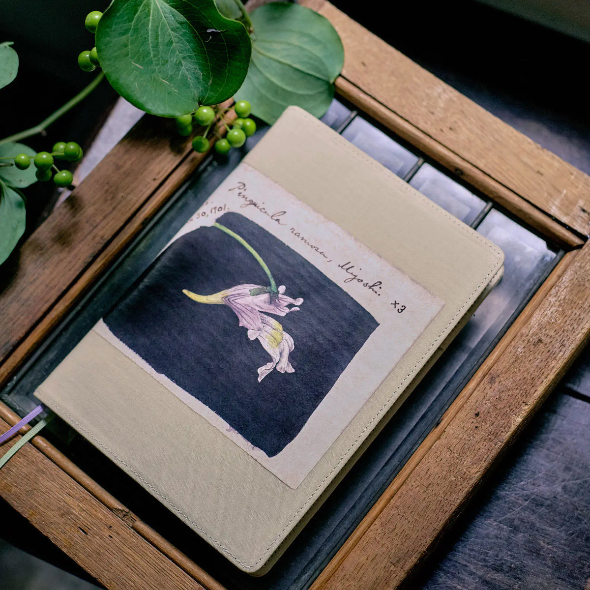 Hobonichi Techo Tomitaro Makino Koshinso Planner Cover A5 2027