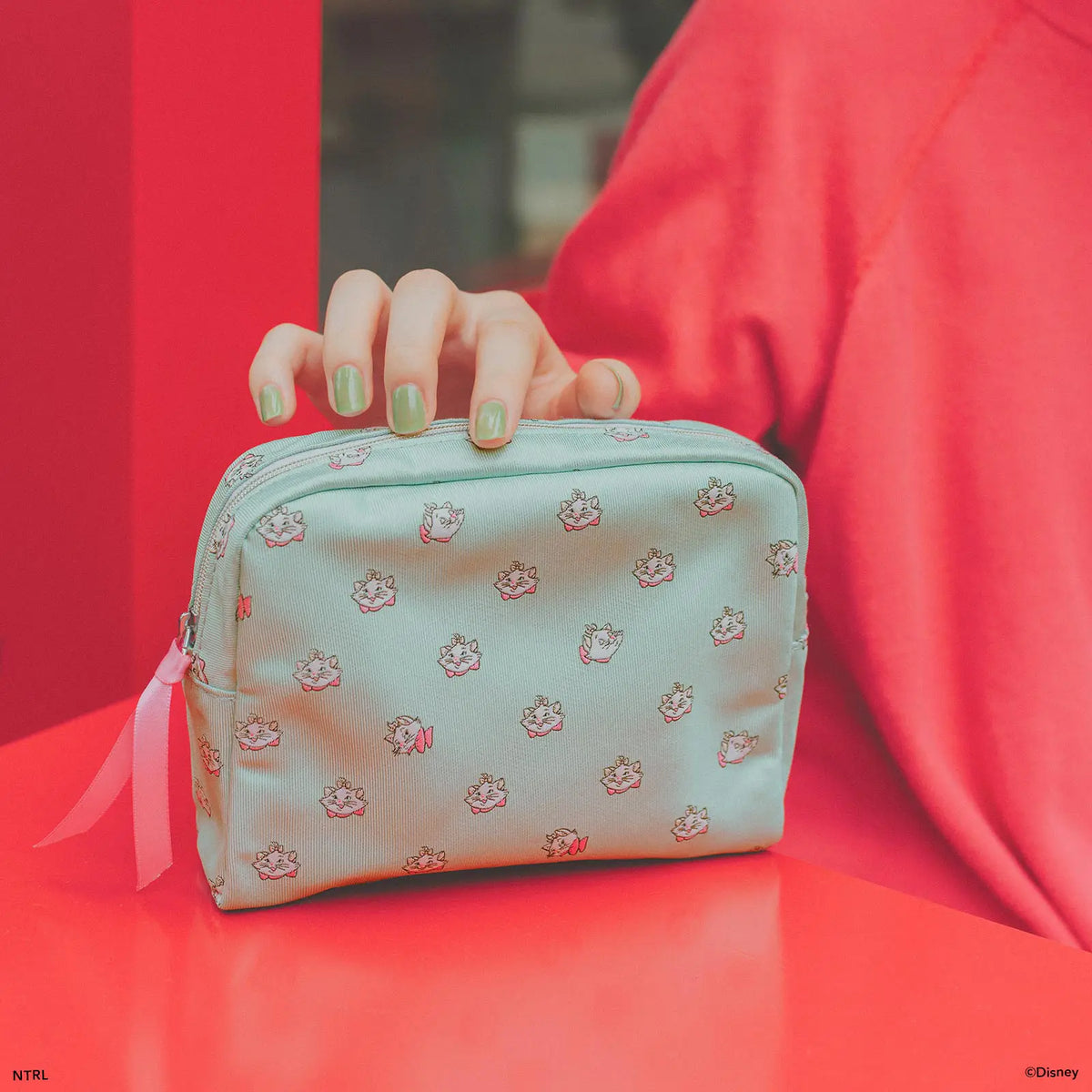Hobonichi 2027 The Aristocats Marie Long Pouch