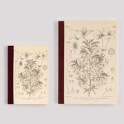 Hobonichi Tomitaro Makino Yamazakura Graph Notebook