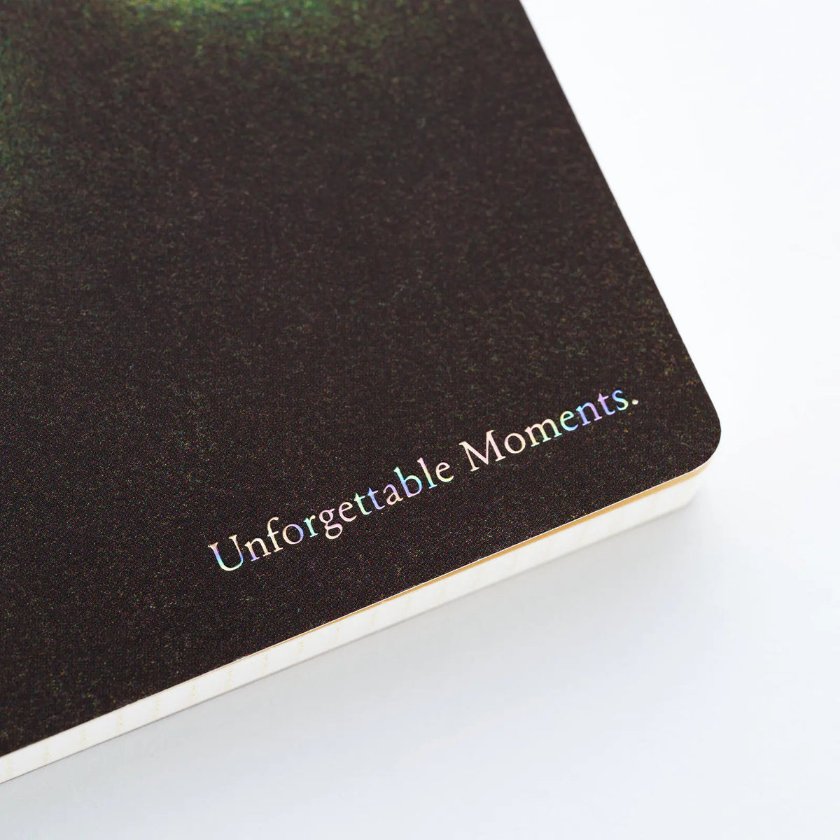 Hobonichi Akiko Miyakoshi Long Grid Notebook B6 I Dream of a Journey