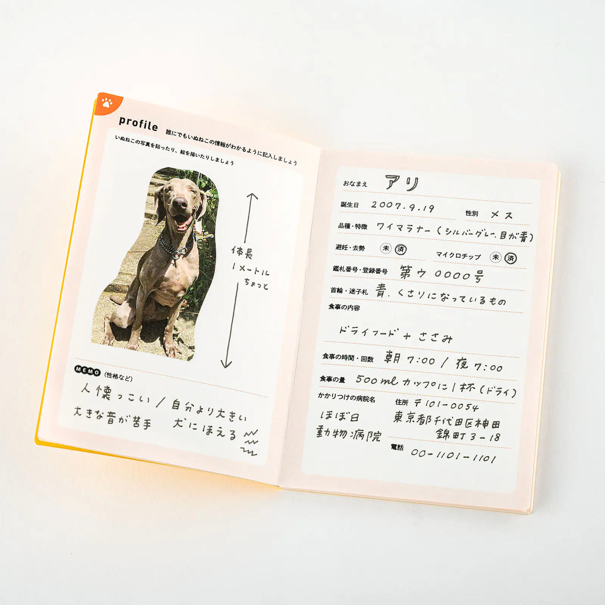 Hobonichi Dog and Cat Health Handbook