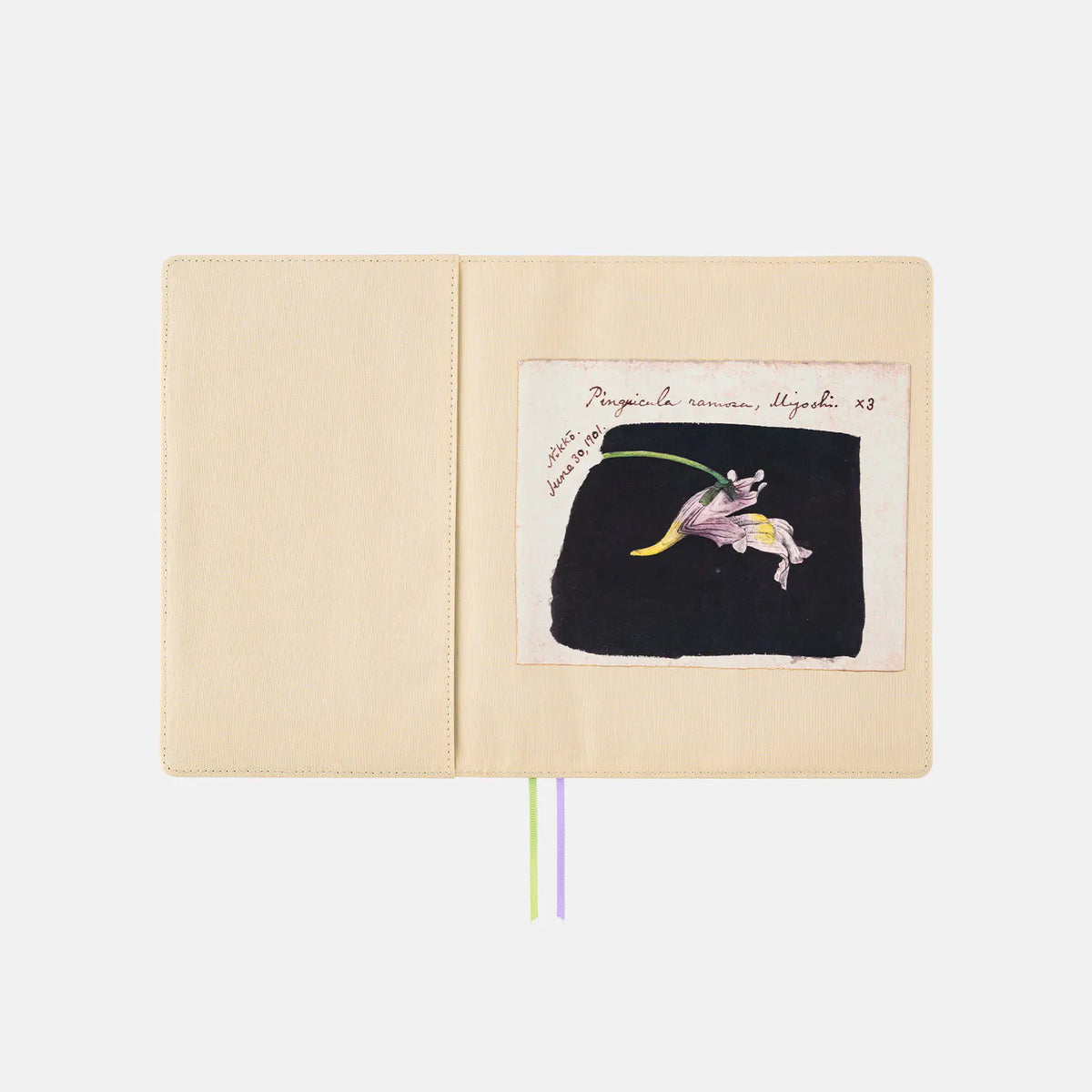 Hobonichi Techo Tomitaro Makino Koshinso Planner Cover A5 2027