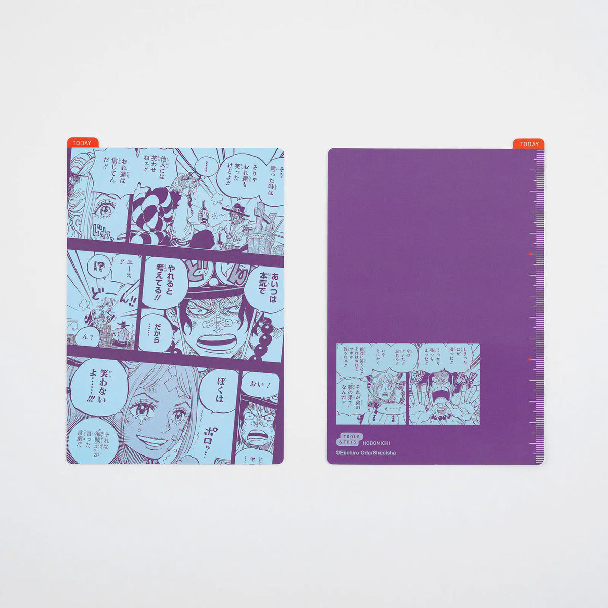 ONE PIECE magazine x Hobonichi Memories Pencil Board