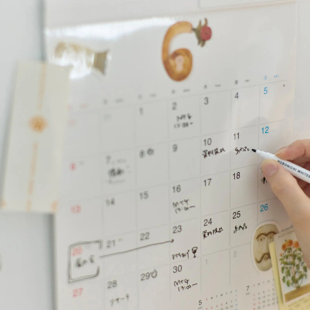Hobonichi Whiteboard Calendar 2027 Medium