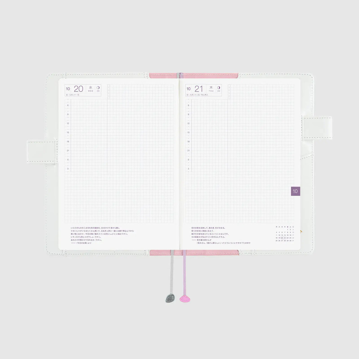 Hobonichi Techo Leo Lionni Frederick Colors A5 Planner Cover 2027