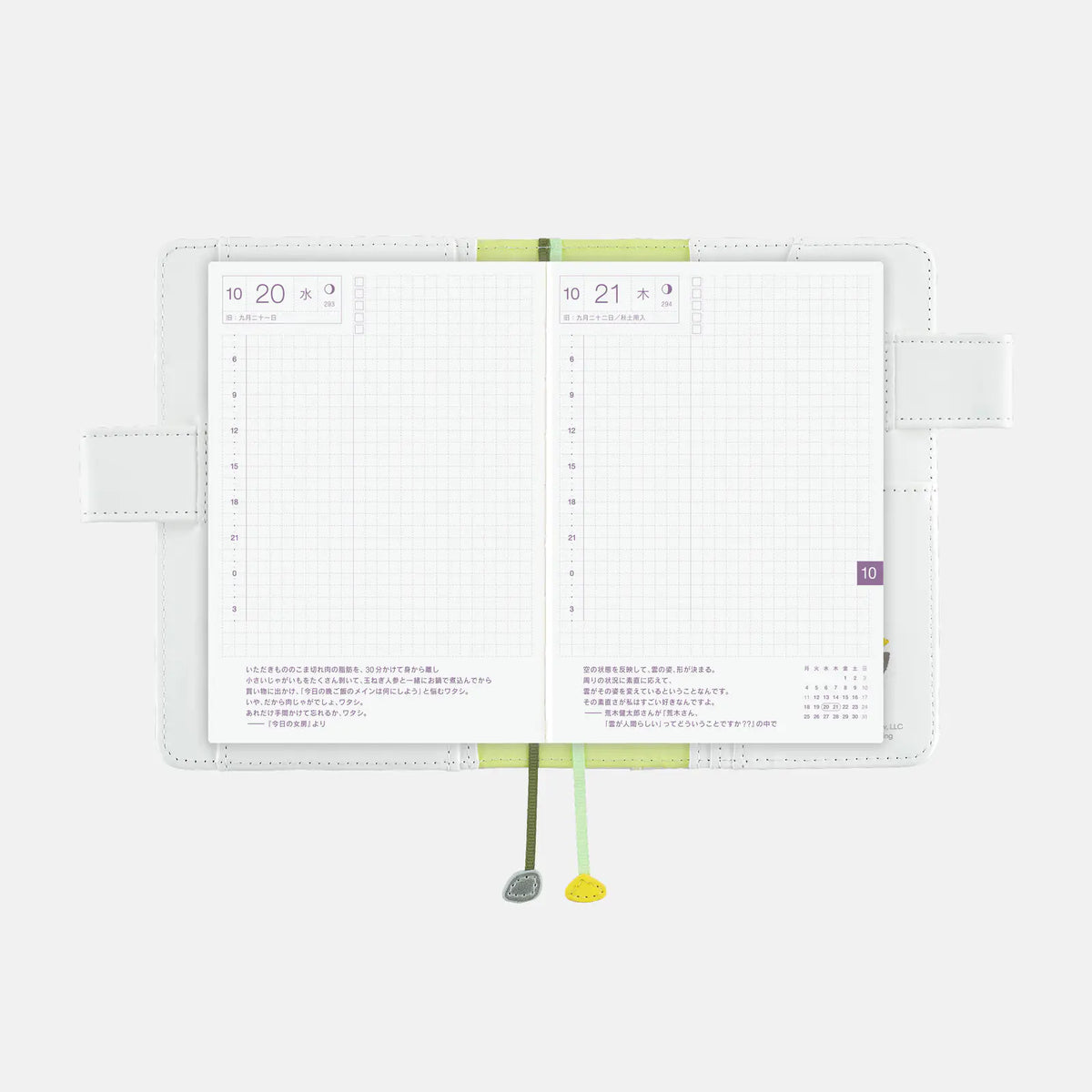Hobonichi Techo Leo Lionni Frederick Sun A6 Planner Cover 2027