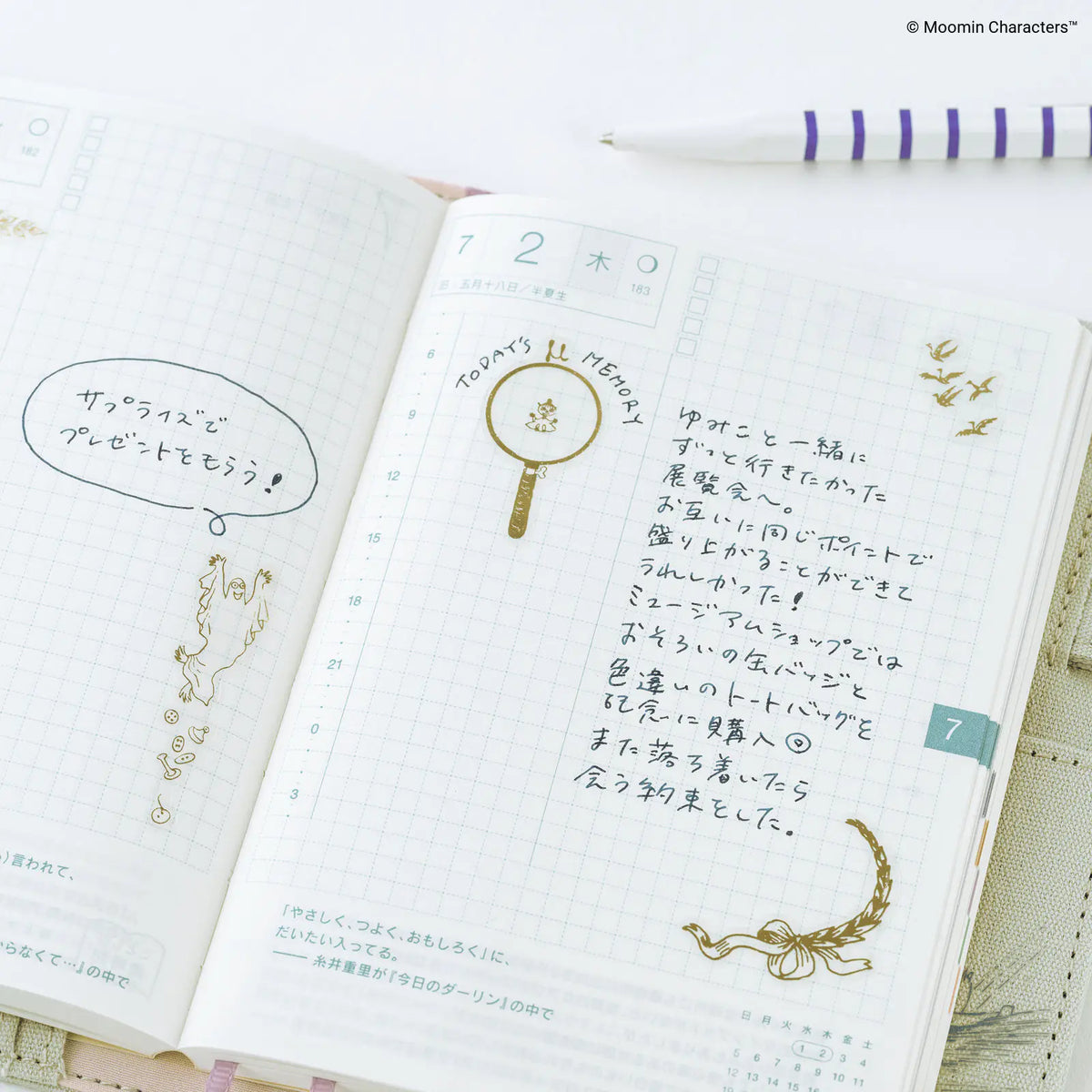 Hobonichi Moomin Gold Foil Clear Stickers Adventure Record