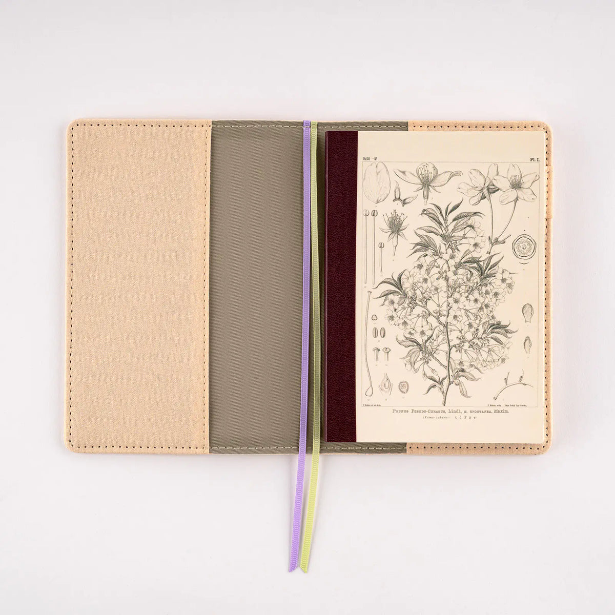 Hobonichi Tomitaro Makino Yamazakura Graph Notebook